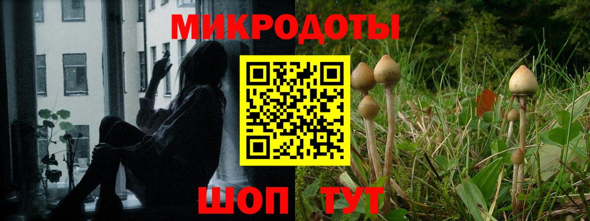 Псилоцибиновые грибы мицелий  Вход с VPN  Галлюциногенные грибы прущие грибы  Нефтеюганск 
